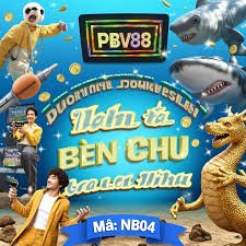 4dnum